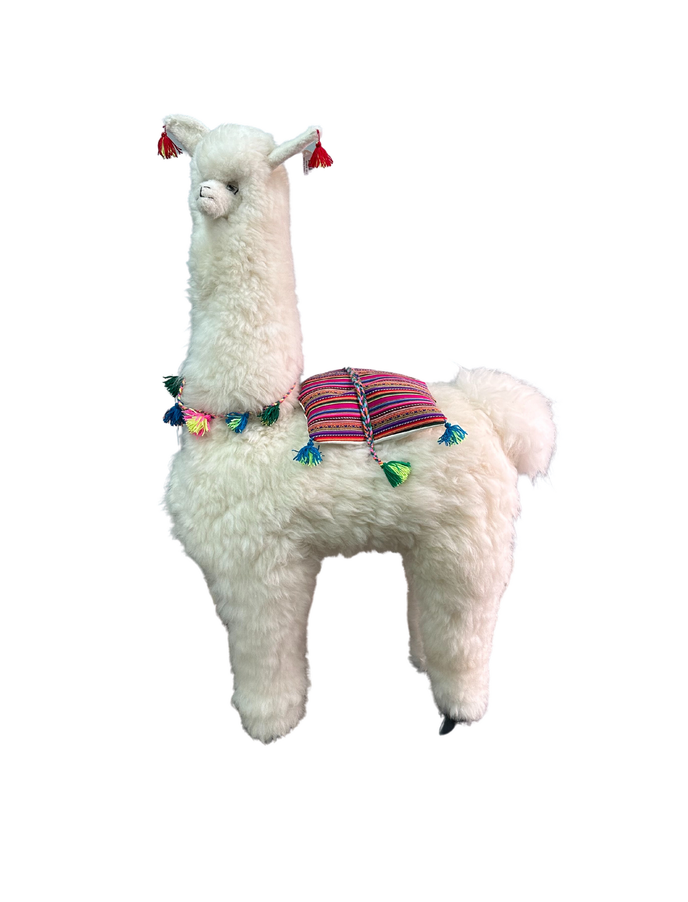 Giant Alpaca Model