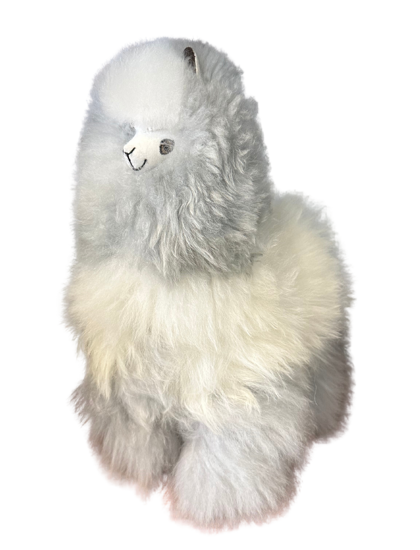 Alpaca Plushies (12 in. Multi Color)
