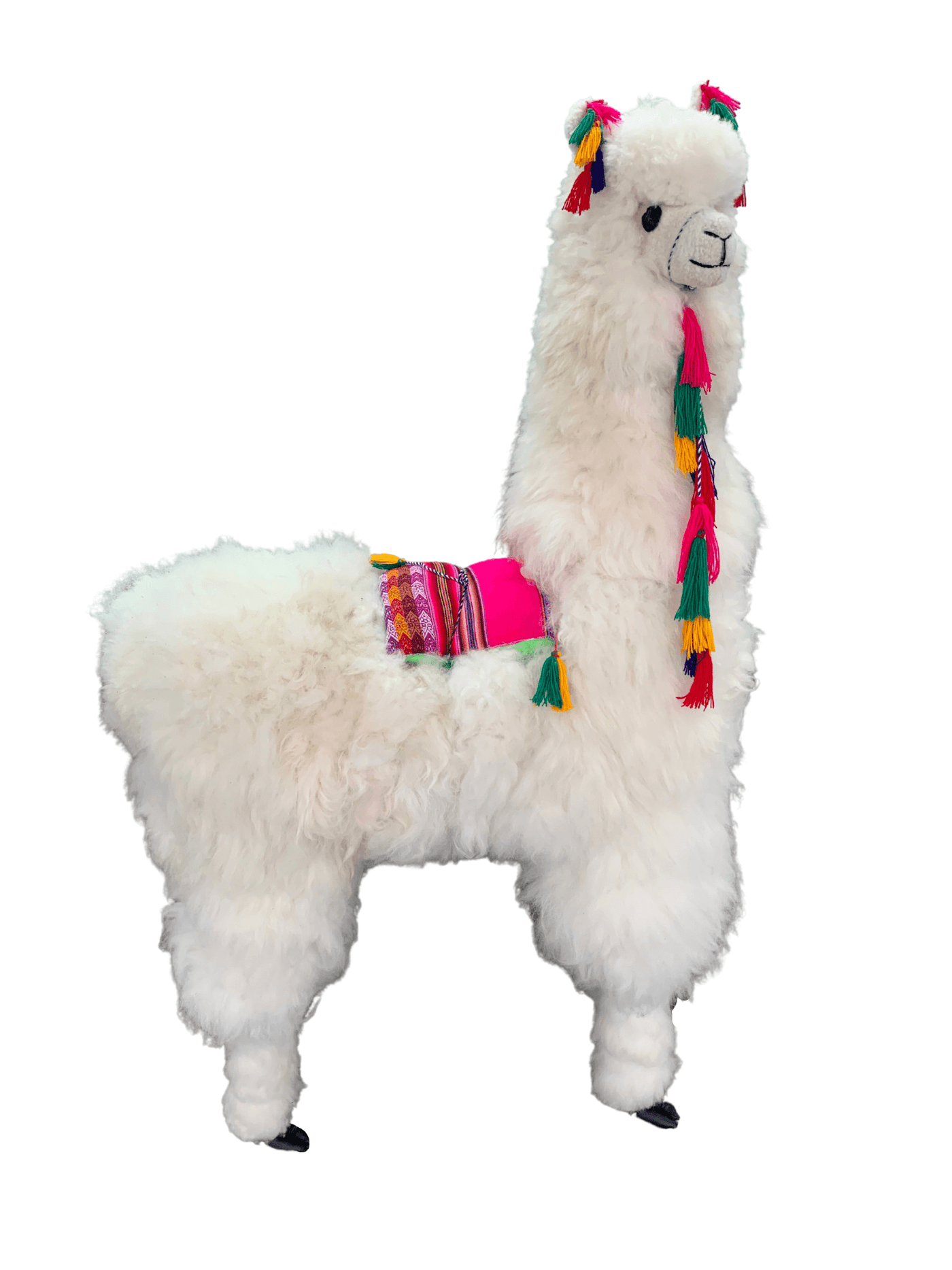 life sized alpaca replica